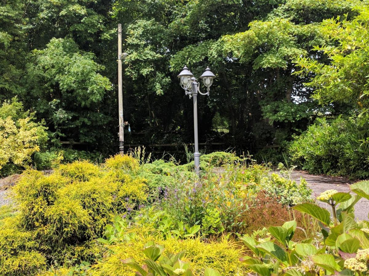 Lough Gara Lodge Self Catering Gorteen  Exteriör bild